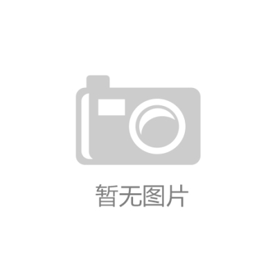 高端POLO衫